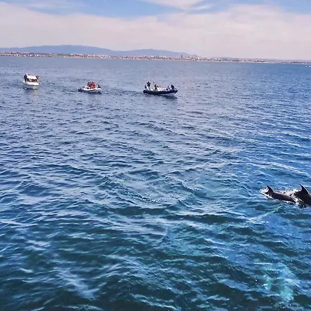 Cayo Coco By Algarve Vacation 빌라