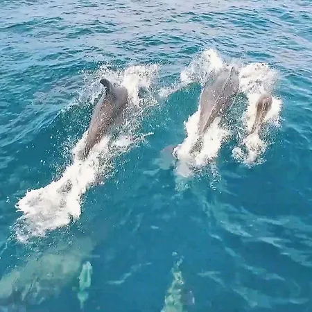 빌라 Cayo Coco By Algarve Vacation *